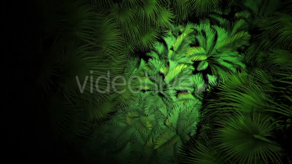 Jungle Palms 07 4K Videohive 20541678 Motion Graphics Image 1