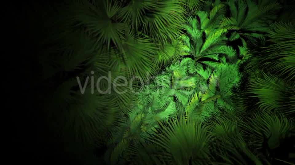 Jungle Palms 07 4K Videohive 20541678 Motion Graphics Image 10