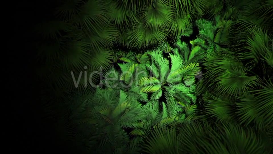 Jungle Palms 07 4K Videohive 20541678 Motion Graphics Image 2