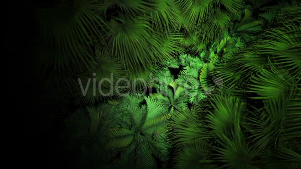 Jungle Palms 07 4K Videohive 20541678 Motion Graphics Image 3