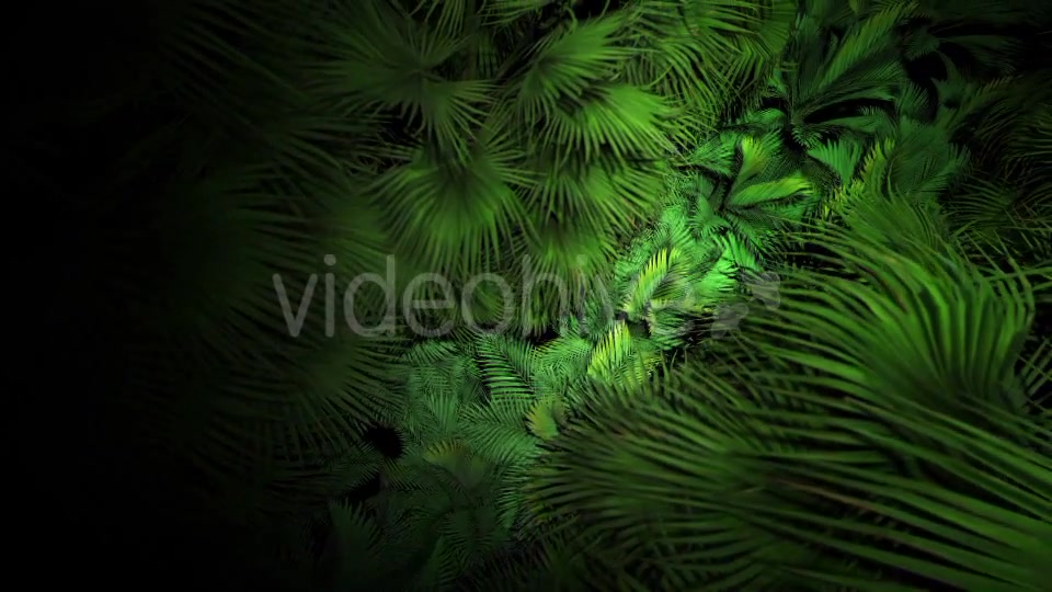 Jungle Palms 07 4K Videohive 20541678 Motion Graphics Image 4