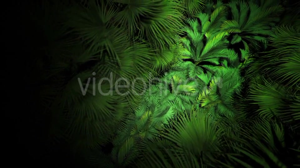 Jungle Palms 07 4K Videohive 20541678 Motion Graphics Image 5