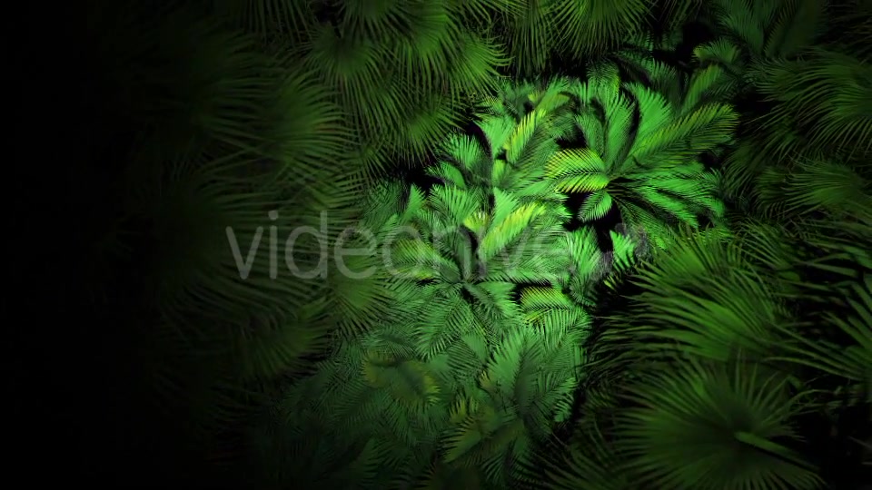 Jungle Palms 07 4K Videohive 20541678 Motion Graphics Image 6
