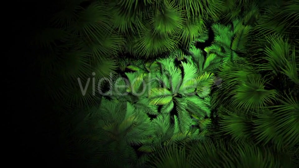 Jungle Palms 07 4K Videohive 20541678 Motion Graphics Image 7