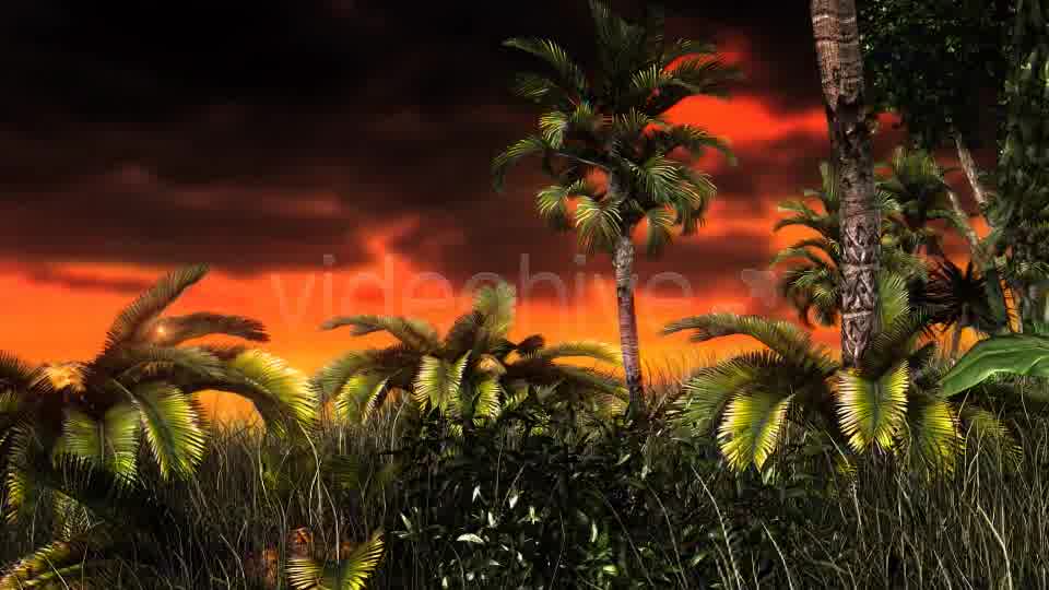 Jungle Sunset Videohive 11017662 Motion Graphics Image 10