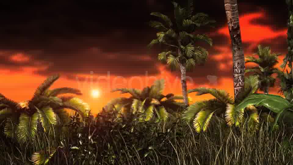 Jungle Sunset Videohive 11017662 Motion Graphics Image 12