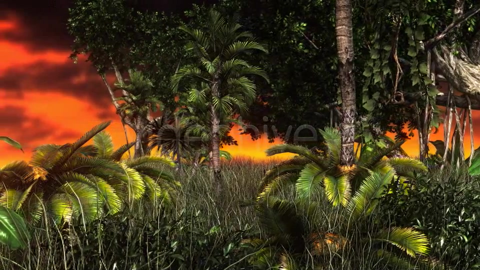 Jungle Sunset Videohive 11017662 Motion Graphics Image 3