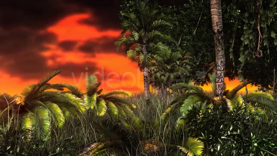 Jungle Sunset Videohive 11017662 Motion Graphics Image 6