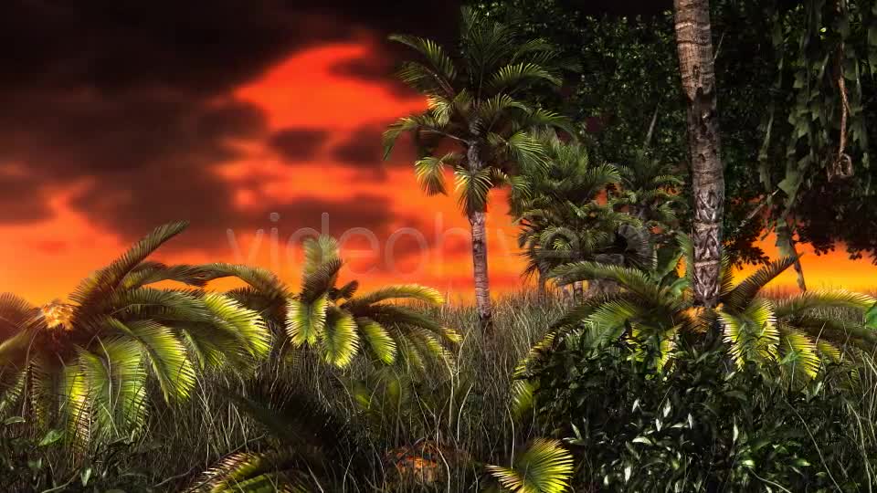 Jungle Sunset Videohive 11017662 Motion Graphics Image 7