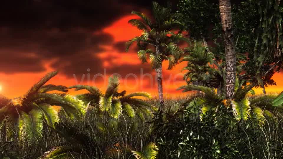 Jungle Sunset Videohive 11017662 Motion Graphics Image 8