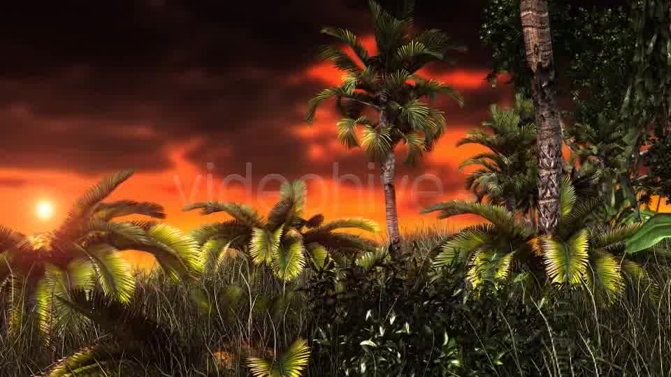 Jungle Sunset Videohive 11017662 Motion Graphics Image 9
