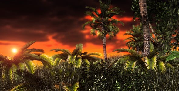 Jungle Sunset - Videohive Download 11017662