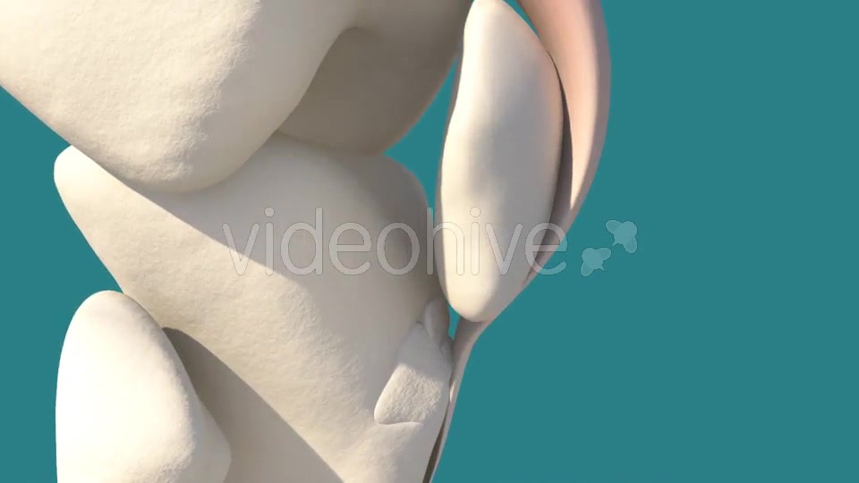 Knee Injury Videohive 14399323 Motion Graphics Image 5