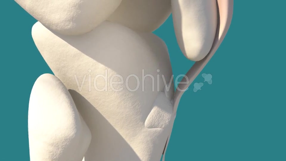 Knee Injury Videohive 14399323 Motion Graphics Image 7