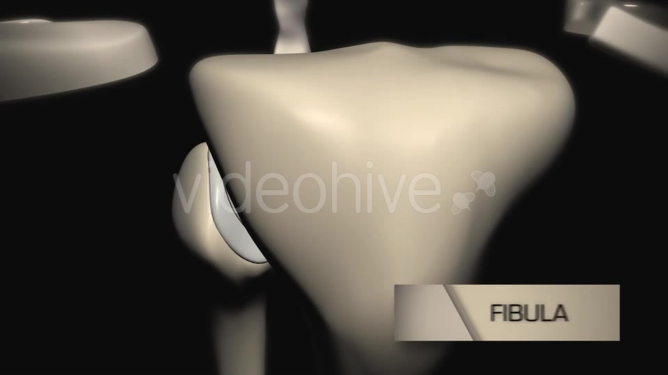 Knee Joint Anatomy Videohive 20605801 Motion Graphics Image 3