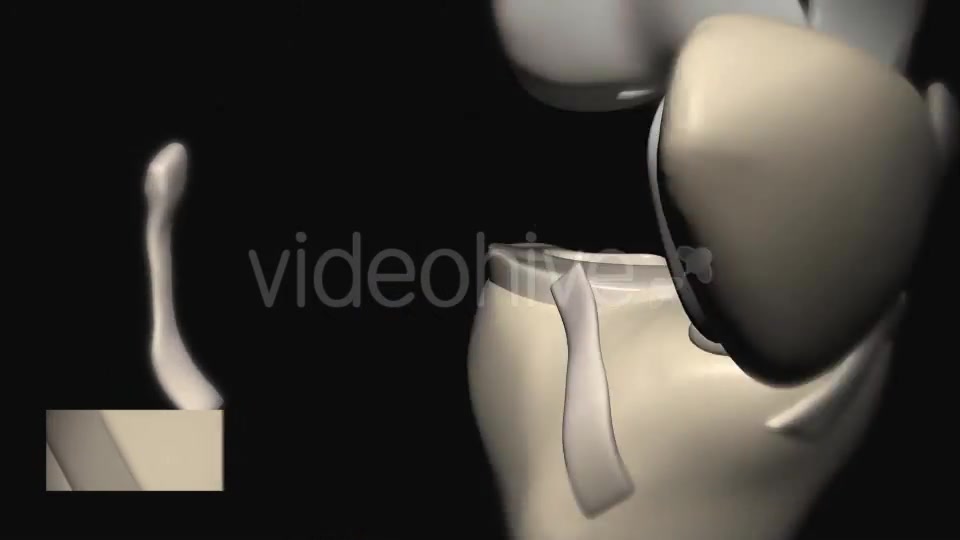 Knee Joint Anatomy Videohive 20605801 Motion Graphics Image 6