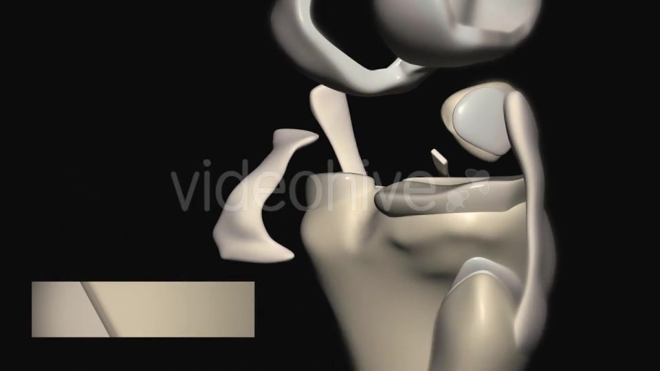 Knee Joint Anatomy Videohive 20605801 Motion Graphics Image 8