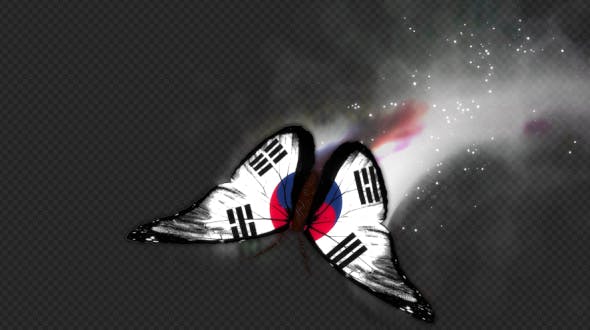 Korea South Flag Butterfly Dynamic Flying Particle Tail V2 - Videohive Download 19559199