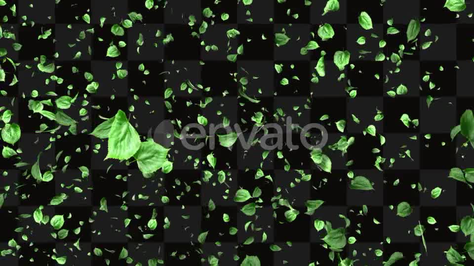 Leaf Package Videohive 21640790 Motion Graphics Image 1