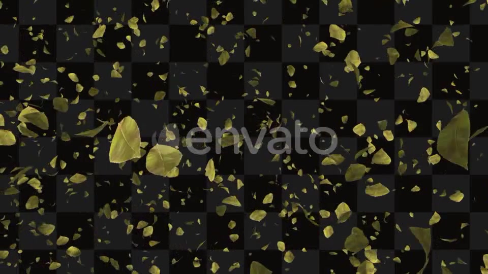 Leaf Package Videohive 21640790 Motion Graphics Image 10