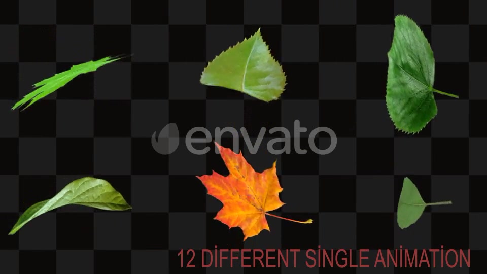 Leaf Package Videohive 21640790 Motion Graphics Image 11