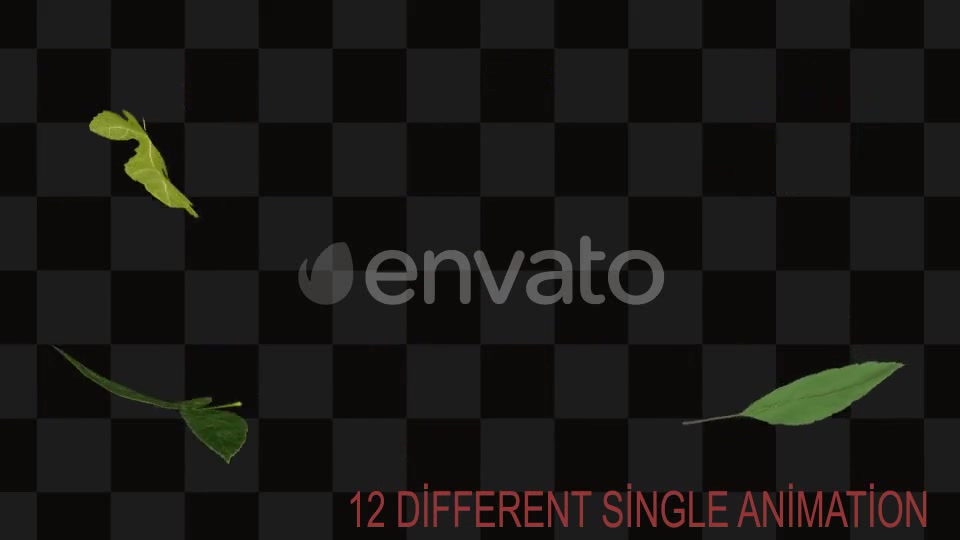 Leaf Package Videohive 21640790 Motion Graphics Image 12