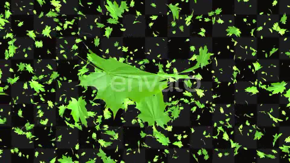 Leaf Package Videohive 21640790 Motion Graphics Image 3