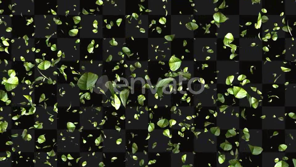 Leaf Package Videohive 21640790 Motion Graphics Image 5