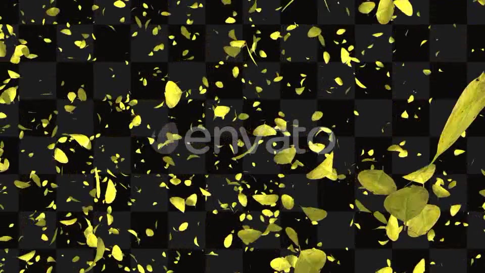 Leaf Package Videohive 21640790 Motion Graphics Image 9