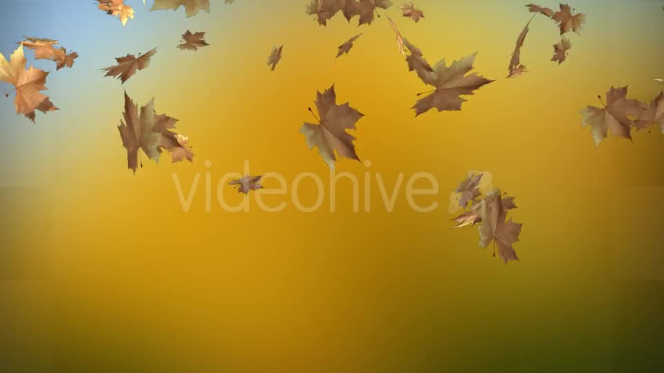 Leaf Transition Videohive 13100964 Motion Graphics Image 1