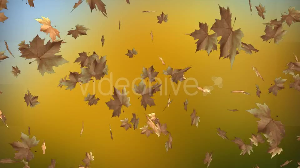 Leaf Transition Videohive 13100964 Motion Graphics Image 2