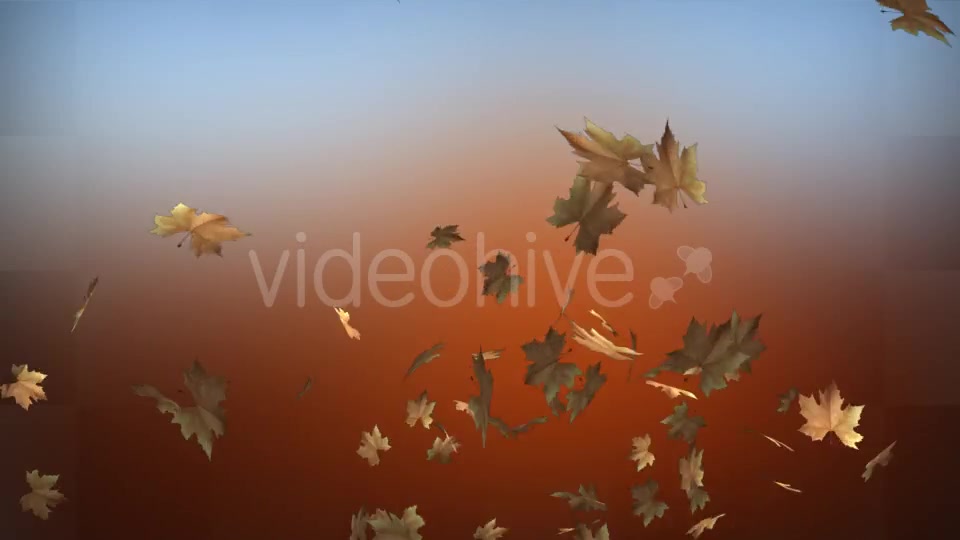 Leaf Transition Videohive 13100964 Motion Graphics Image 5