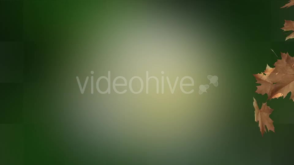 Leaf Transition Videohive 13100964 Motion Graphics Image 6