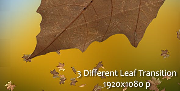 Leaf Transition - Download Videohive 13100964