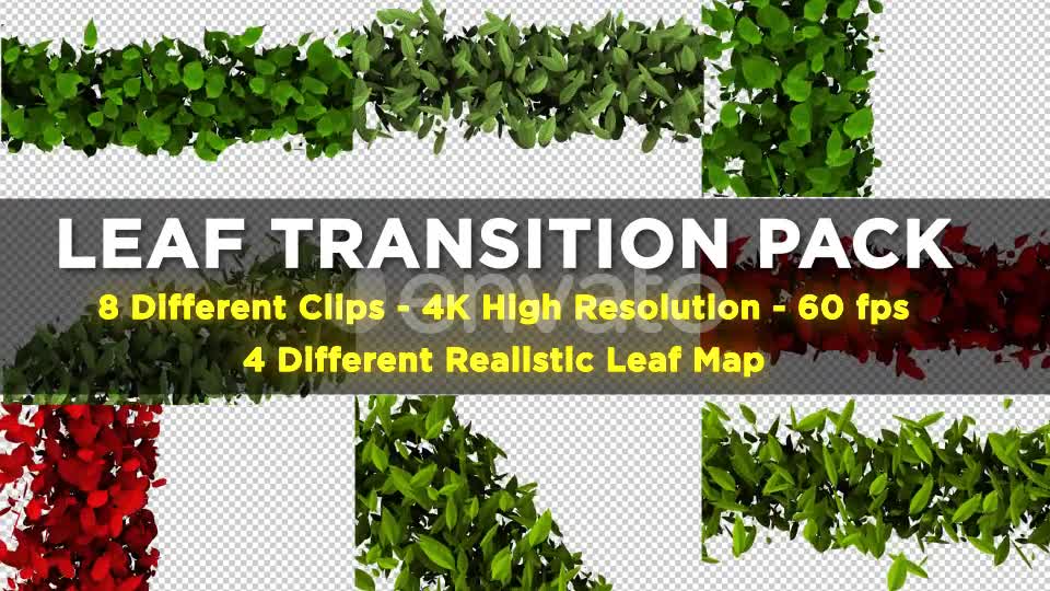 Leaf Transition Pack 4K Videohive 23020669 Motion Graphics Image 1