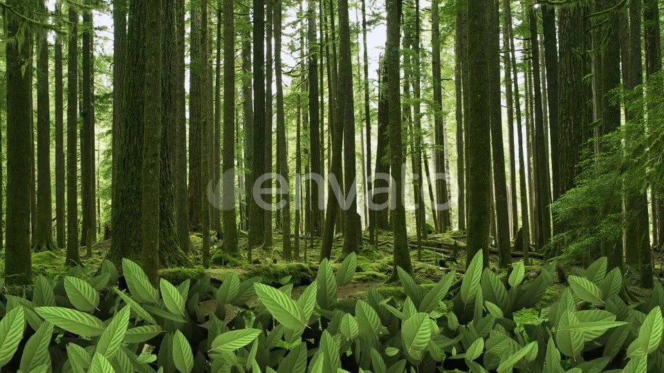 Leaf Transition Pack 4K Videohive 23020669 Motion Graphics Image 5