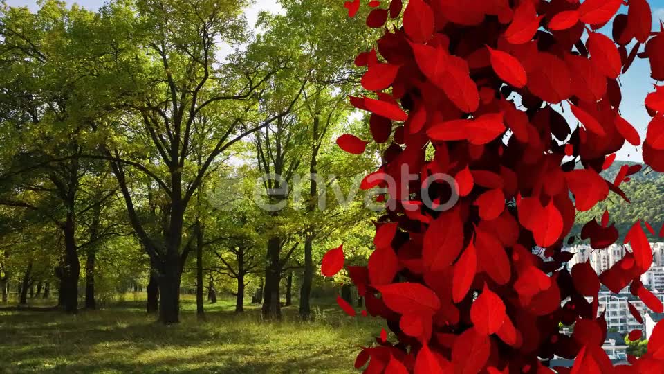 Leaf Transition Pack 4K Videohive 23020669 Motion Graphics Image 8