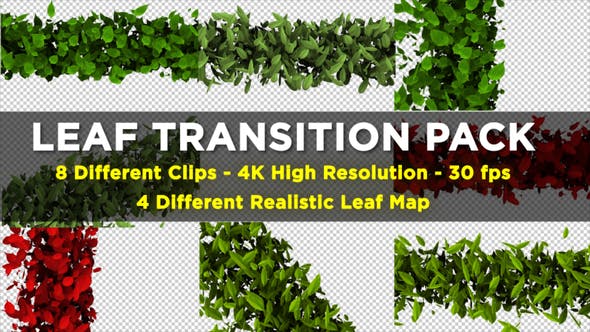 Leaf Transition Pack 4K - Download 23020669 Videohive