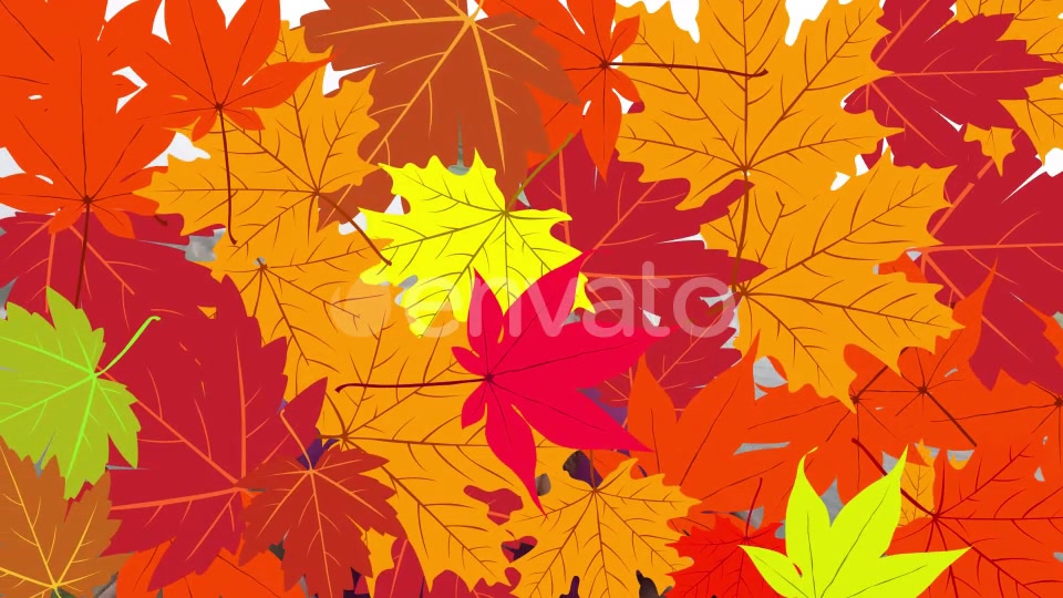 Leaf Transitions Videohive 23624500 Motion Graphics Image 4