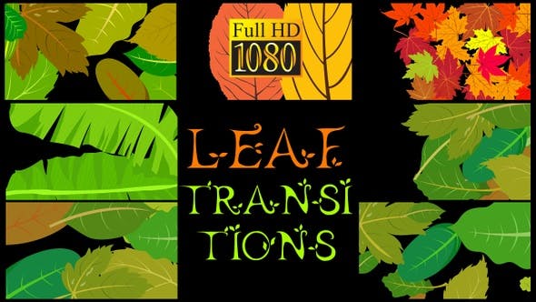 Leaf Transitions - Download 23624500 Videohive