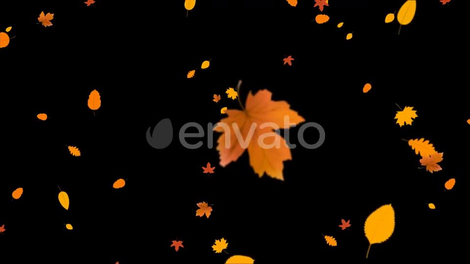 Leaves Autumn Falling Videohive 24645000 Motion Graphics Image 1