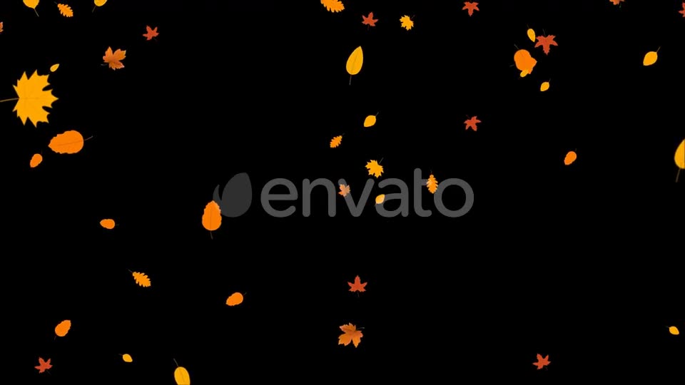 Leaves Autumn Falling Videohive 24645000 Motion Graphics Image 2