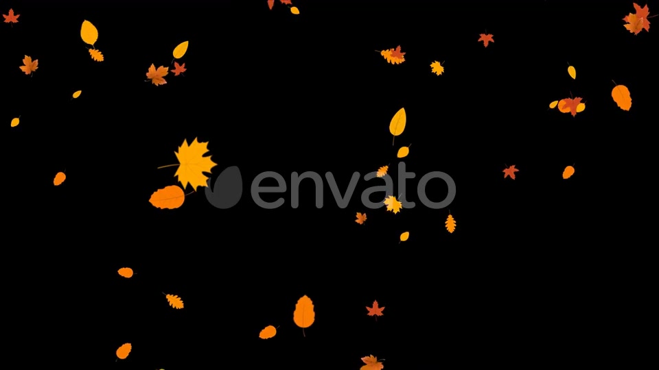 Leaves Autumn Falling Videohive 24645000 Motion Graphics Image 3