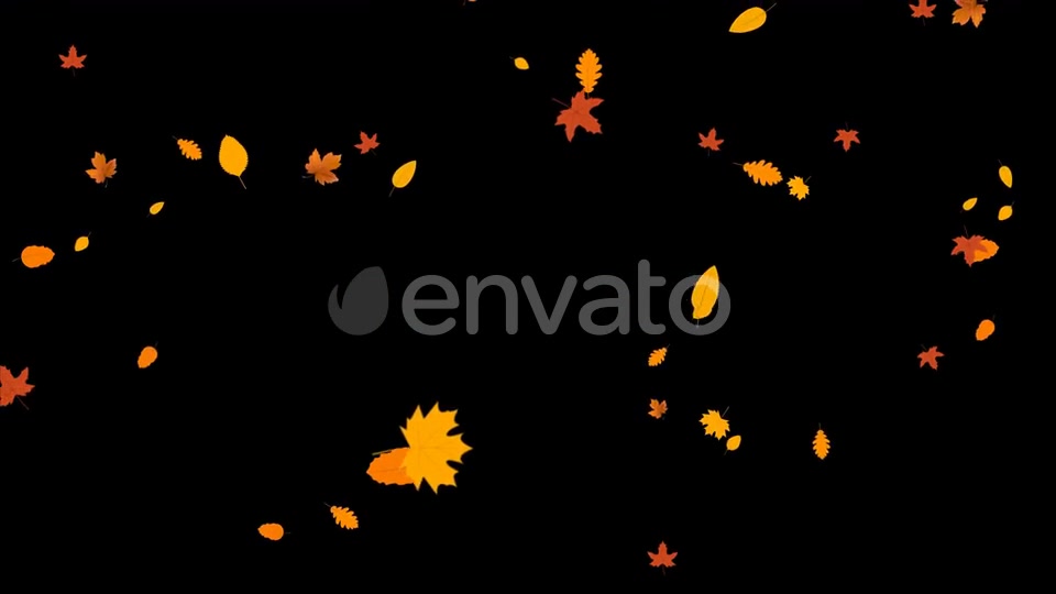 Leaves Autumn Falling Videohive 24645000 Motion Graphics Image 4