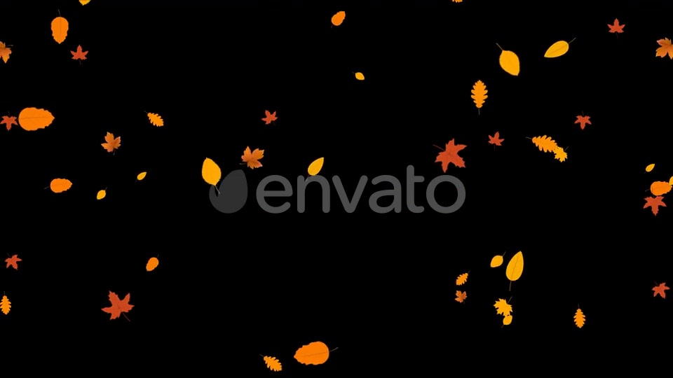 Leaves Autumn Falling Videohive 24645000 Motion Graphics Image 5