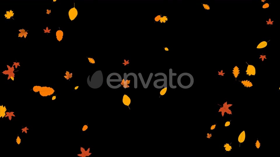 Leaves Autumn Falling Videohive 24645000 Motion Graphics Image 6