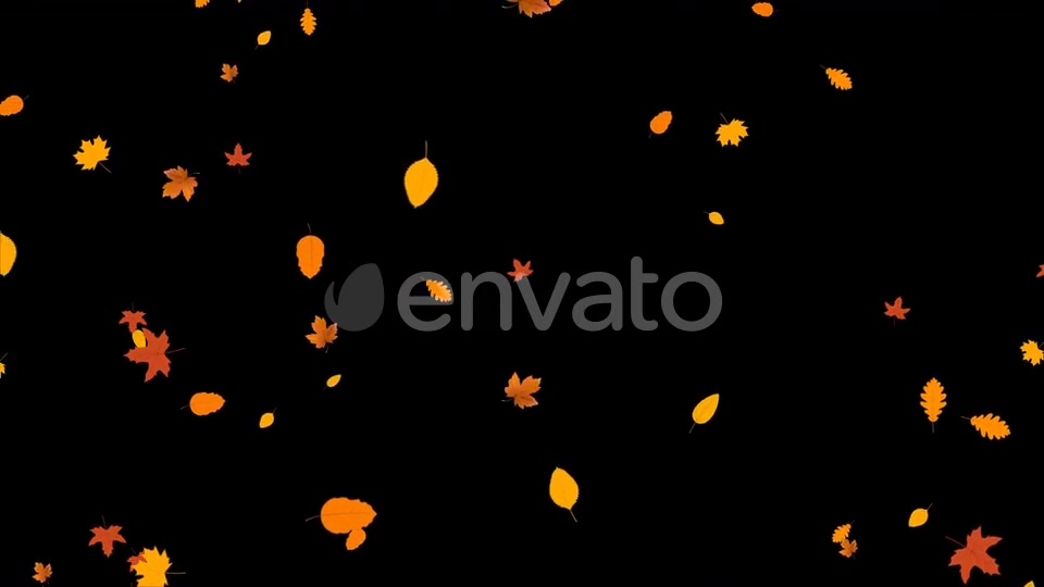 Leaves Autumn Falling Videohive 24645000 Motion Graphics Image 7