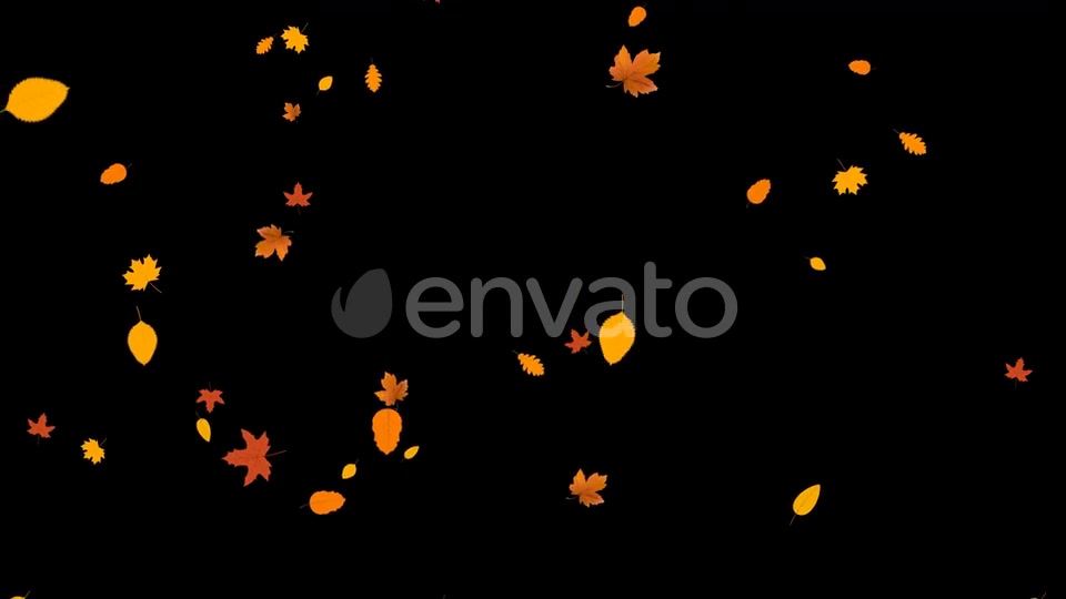 Leaves Autumn Falling Videohive 24645000 Motion Graphics Image 8