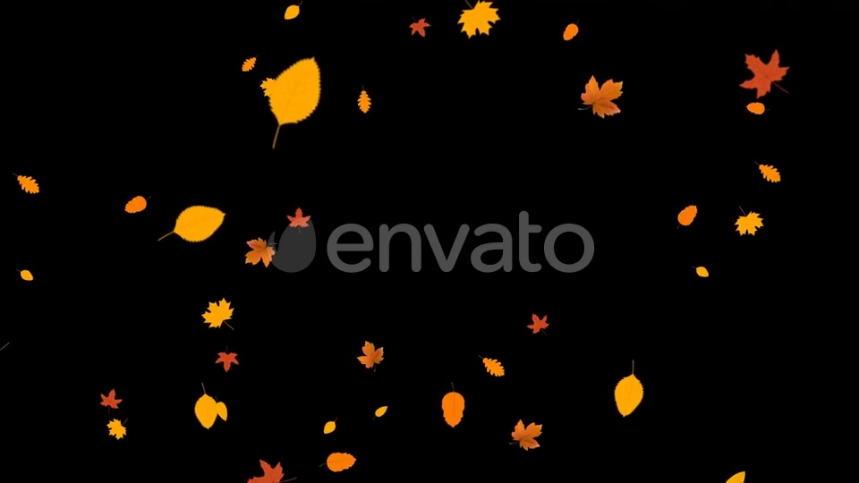 Leaves Autumn Falling Videohive 24645000 Motion Graphics Image 9