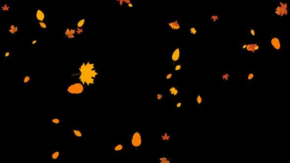 Leaves Autumn Falling - 24645000 Download Videohive